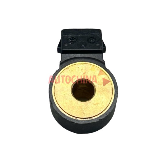 www.autochina.com.tr