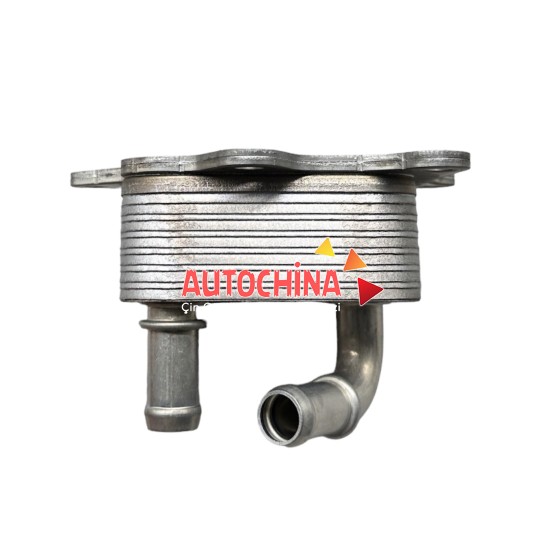 www.autochina.com.tr